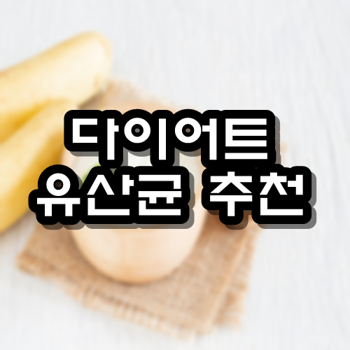  다이어트 유산균 추천