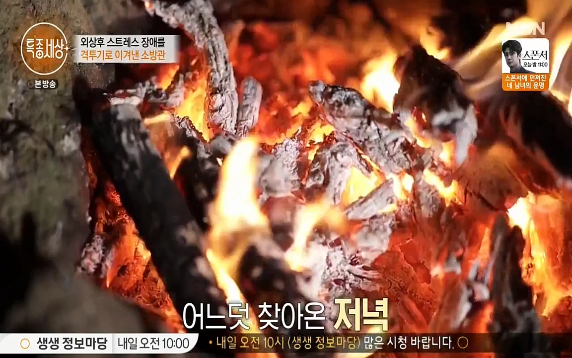 현장르포 특종세상.E524.220332p-NEXT.mp4_20220402_185336.979.jpg