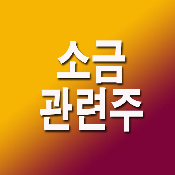  소금 관련주 8종목