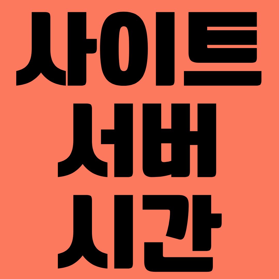 사이트 서버 시간