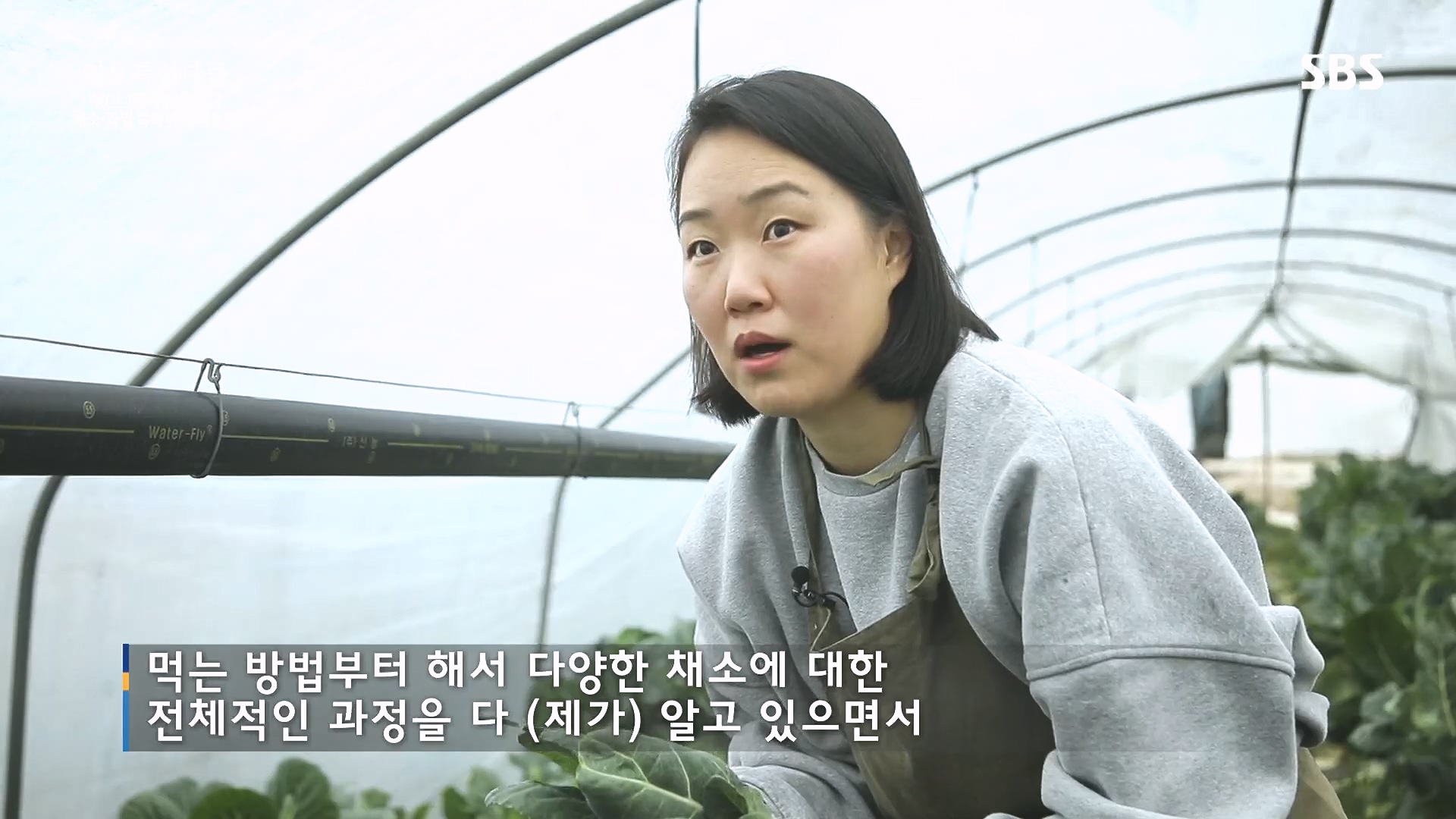 일요 특선 다큐멘터리.E335.240107p.H264-F1RST.mp4_20240108_202708.466.jpg