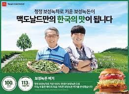맥도날드 신제품 보성녹돈