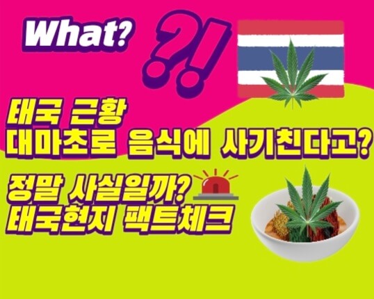  태국에서는 현재 음식에 대마초로 사기친다고? 사실일까?