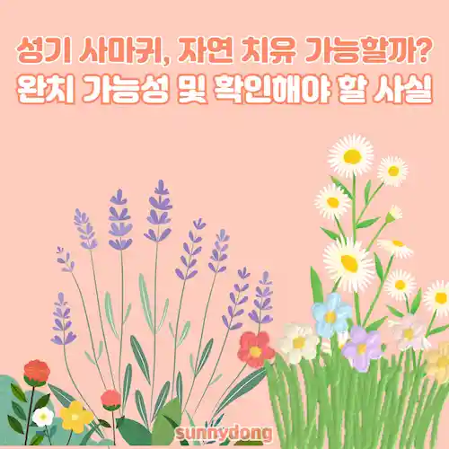 성기 사마귀, 자연 치유 가능성 및 확인 사항 썸네일