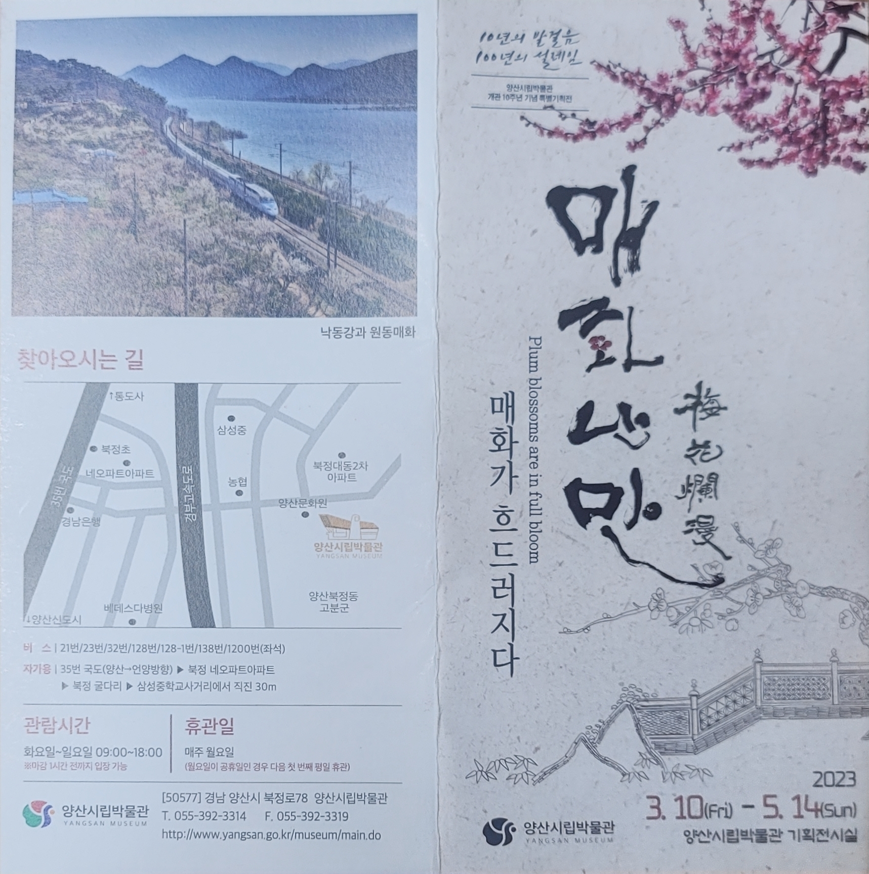 양산 파동매화축제 다녀왔습니다 4