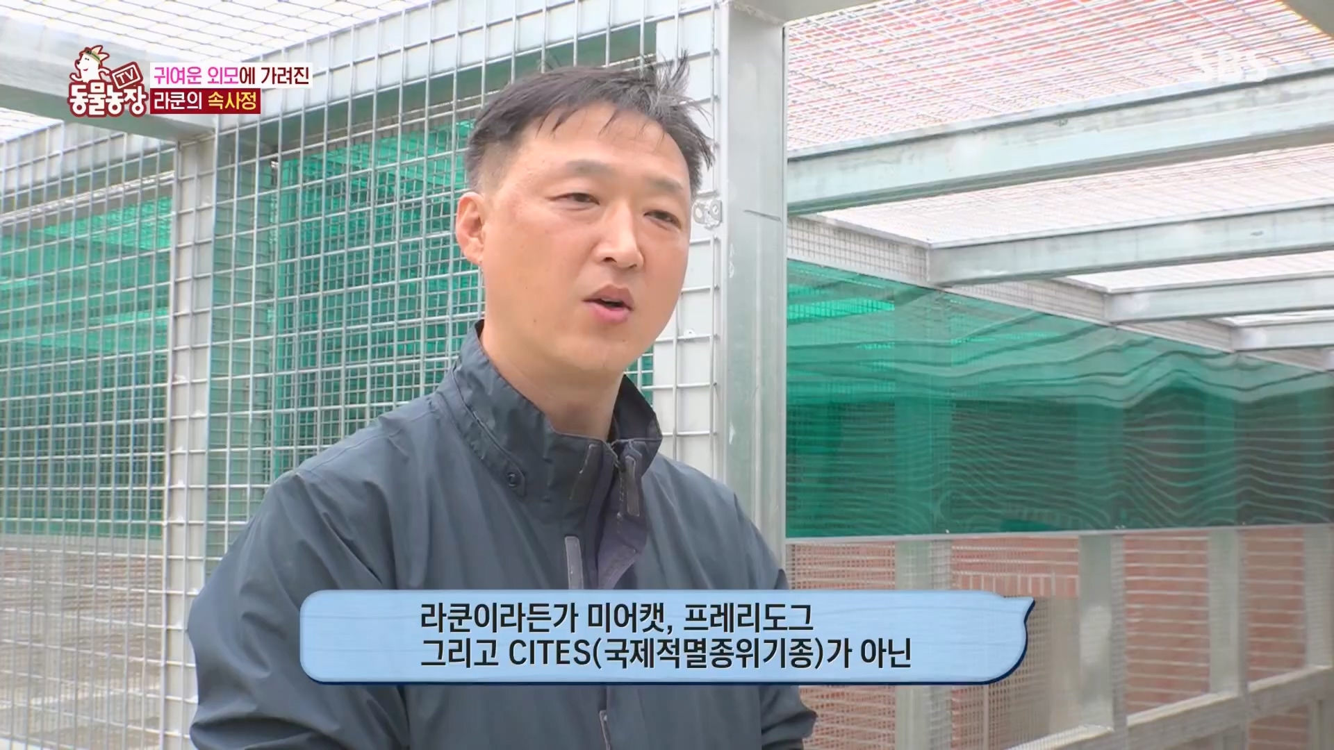 TV 동물농장.E1170.240505p.H264-F1RST.mp4_20240505_153804.831.jpg