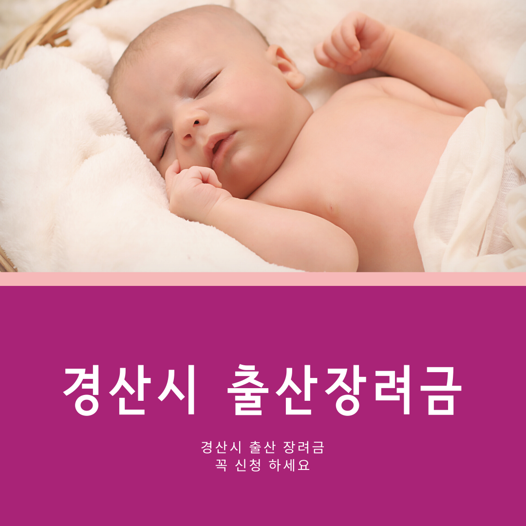  경산시 출산장려금 및 경산시 지원 무료 보험 정보