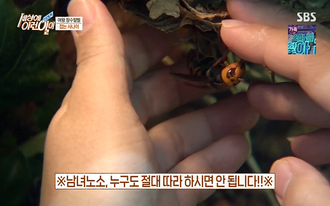 순간포착 세상에 이런일이.E1180.220518p-NEXT.mp4_20220518_181615.699.jpg