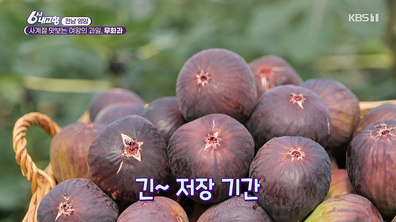 6시 내고향.E7753.230315p-NEXT.mp4_20230315_180922.574.jpg