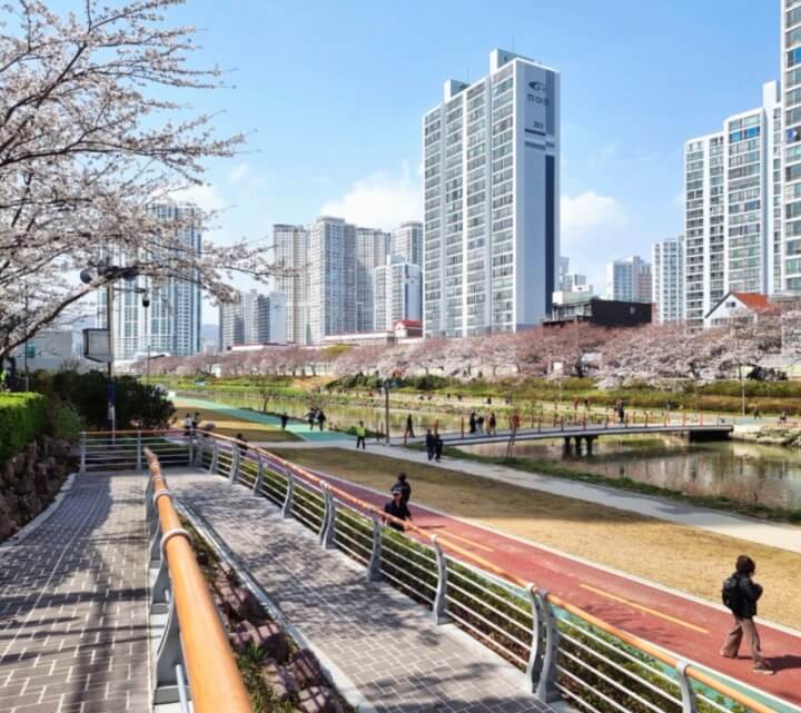 벚꽃명소-부산-온천천-시민공원