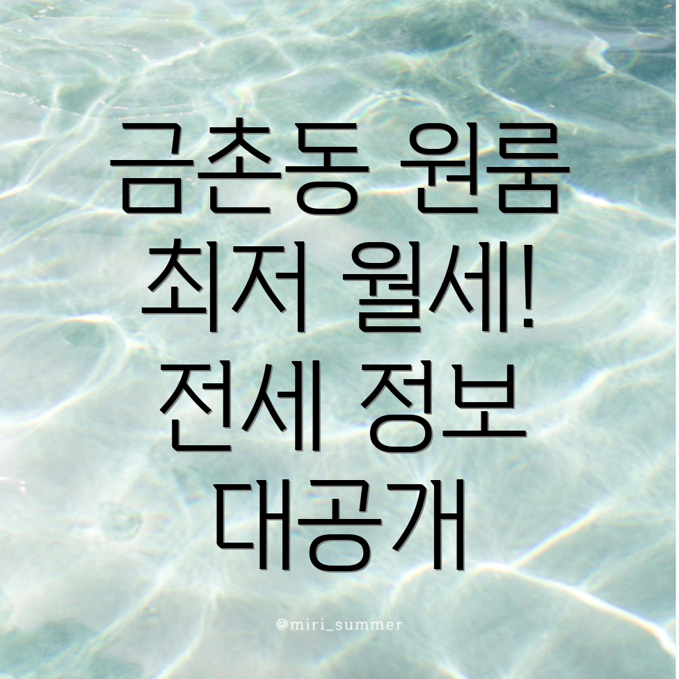 파주 금촌동 원룸 월세