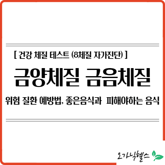 금양체질 금음체질