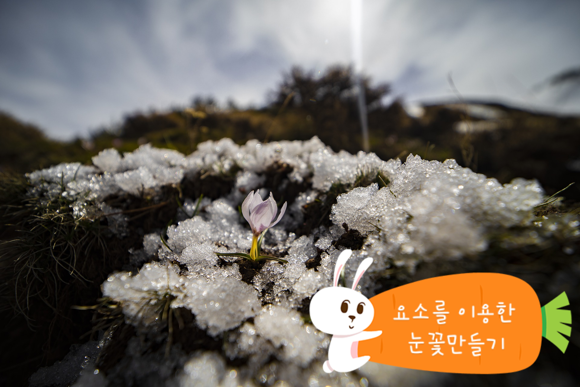  겨울이 지나기 전에 눈꽃만들기 - 요소결정키트