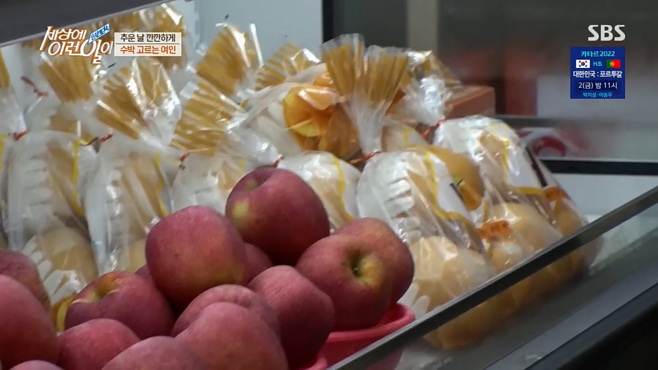 순간포착 세상에 이런일이.E1207.221130p.H264-F1RST.mp4_20221130_195710.728.jpg