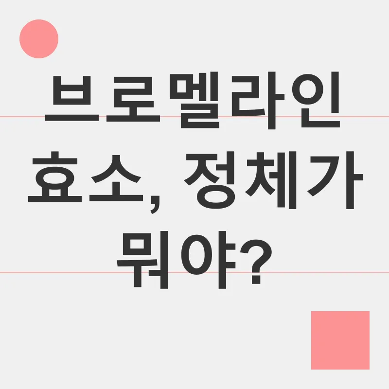 브로멜라인 효소_1
