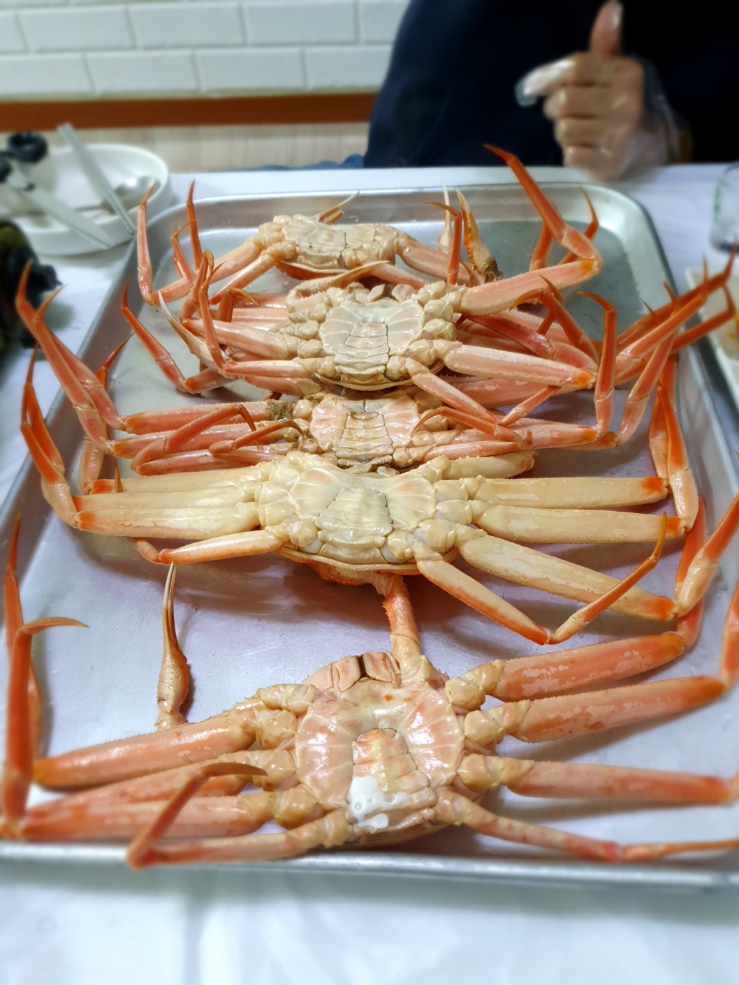 동해바구니 이미지