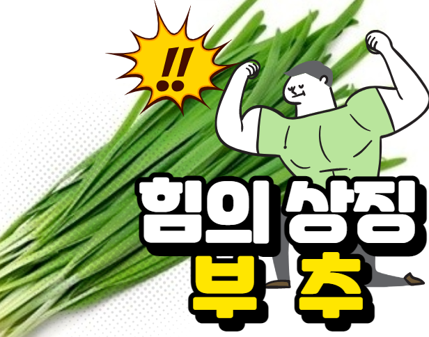  [경매사 추천 농산물] "부추" 드시고, 힘내세요!!