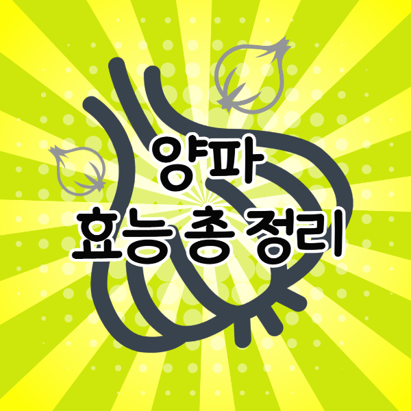  양파 효능 총 정리 / 손질법 / 고르는방법 / 보관법 / 주의사항 / 먹는법 /부작용