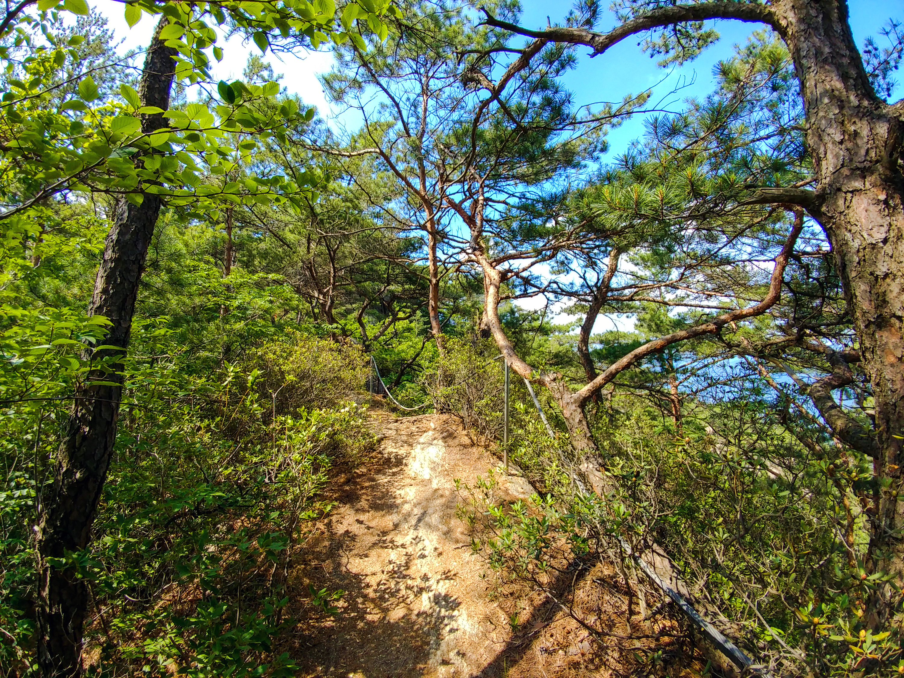 한국 명산 충북 단양 황정산 등산 mountain hiking