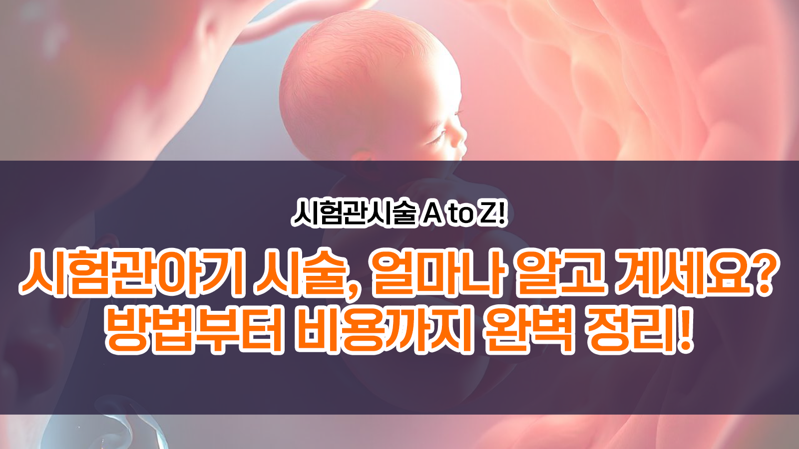 시험관아기 시술, 얼마나 알고 계세요? 방법부터 비용까지 완벽 정리!