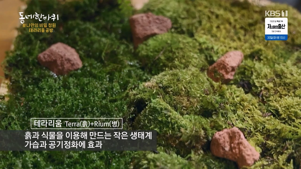 동네 한 바퀴.E271.240428p-NEXT.mp4_20240428_171840.469.jpg