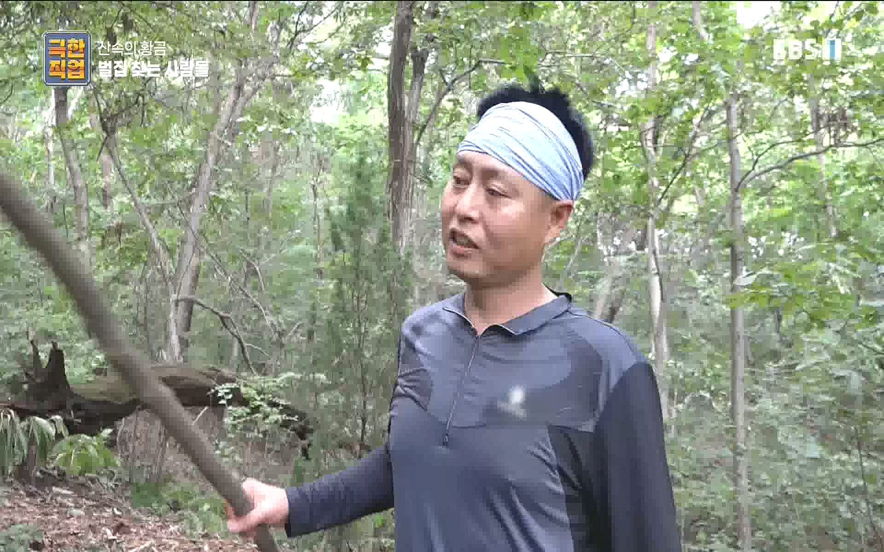 벌집 찾는 사람들.mp4_20221006_212348.825.jpg