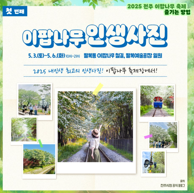 이팝나무 인생사진