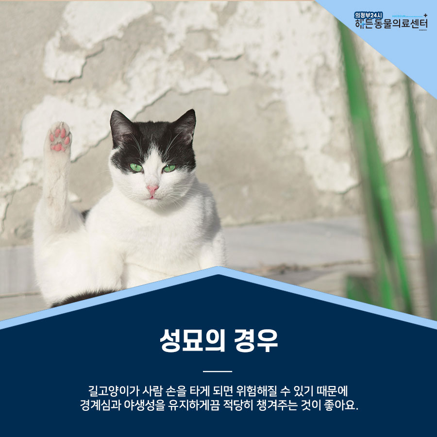 간택 , 구조는 어리다면 조심해야 해요! 9