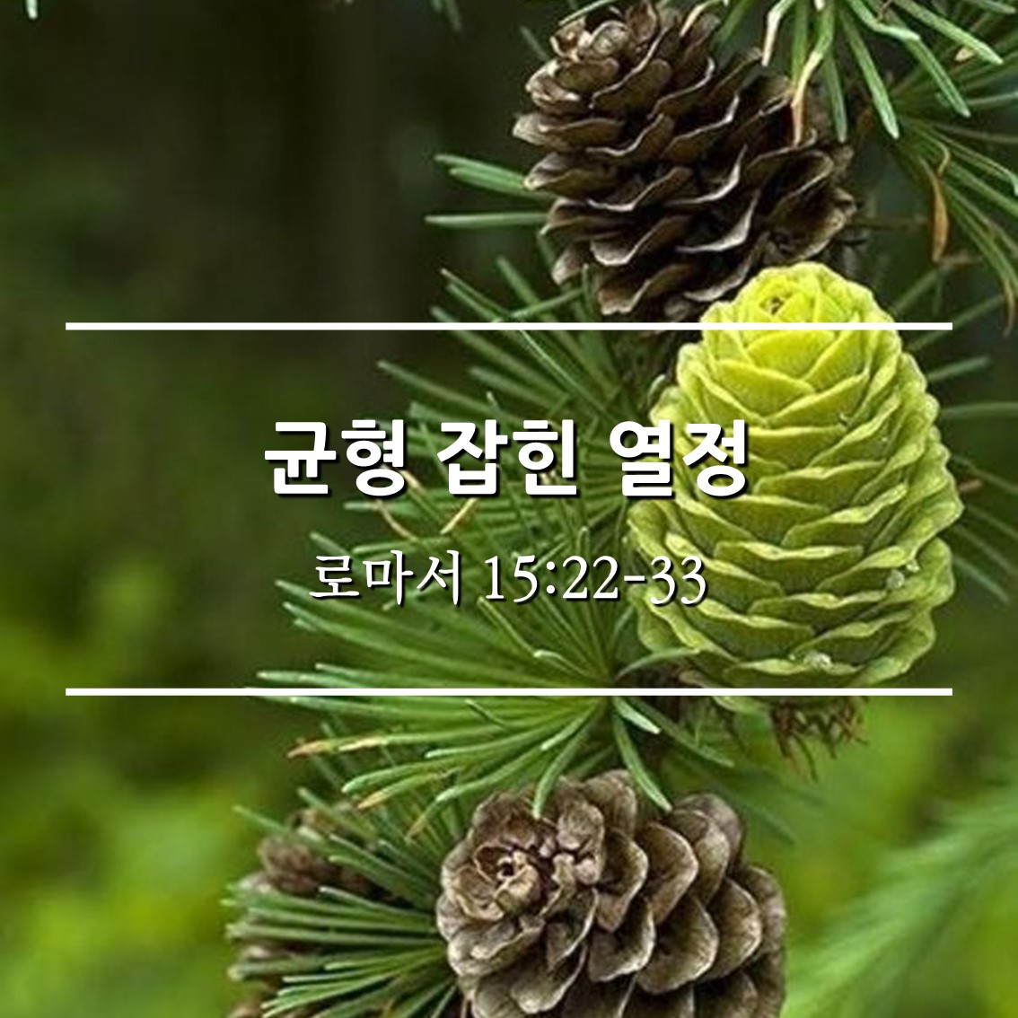  균형 잡힌 열정 / 롬 15:22-33