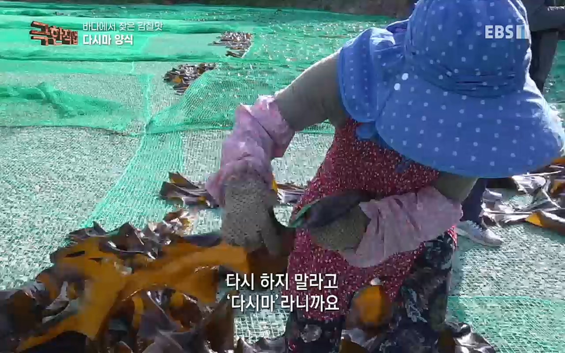 TV - 교육의 중심 EBS바다에서 찾은 감칠맛 새우젓과 다시마.mp4_20220717_175015.074.jpg