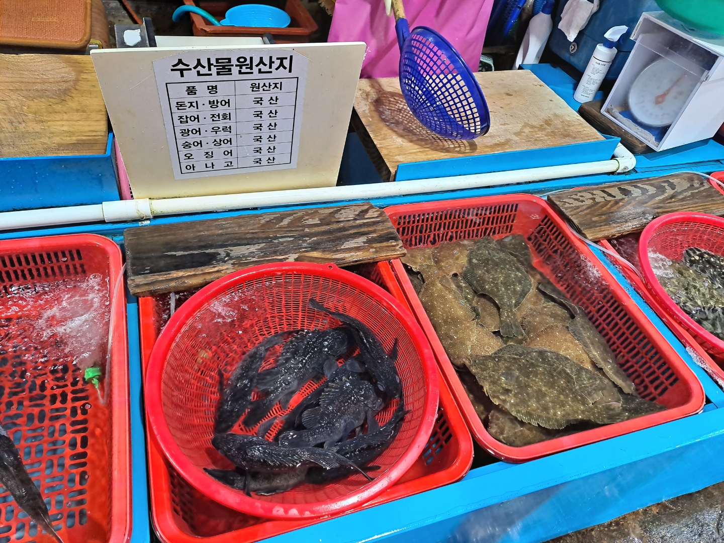 화진카서비스 이미지