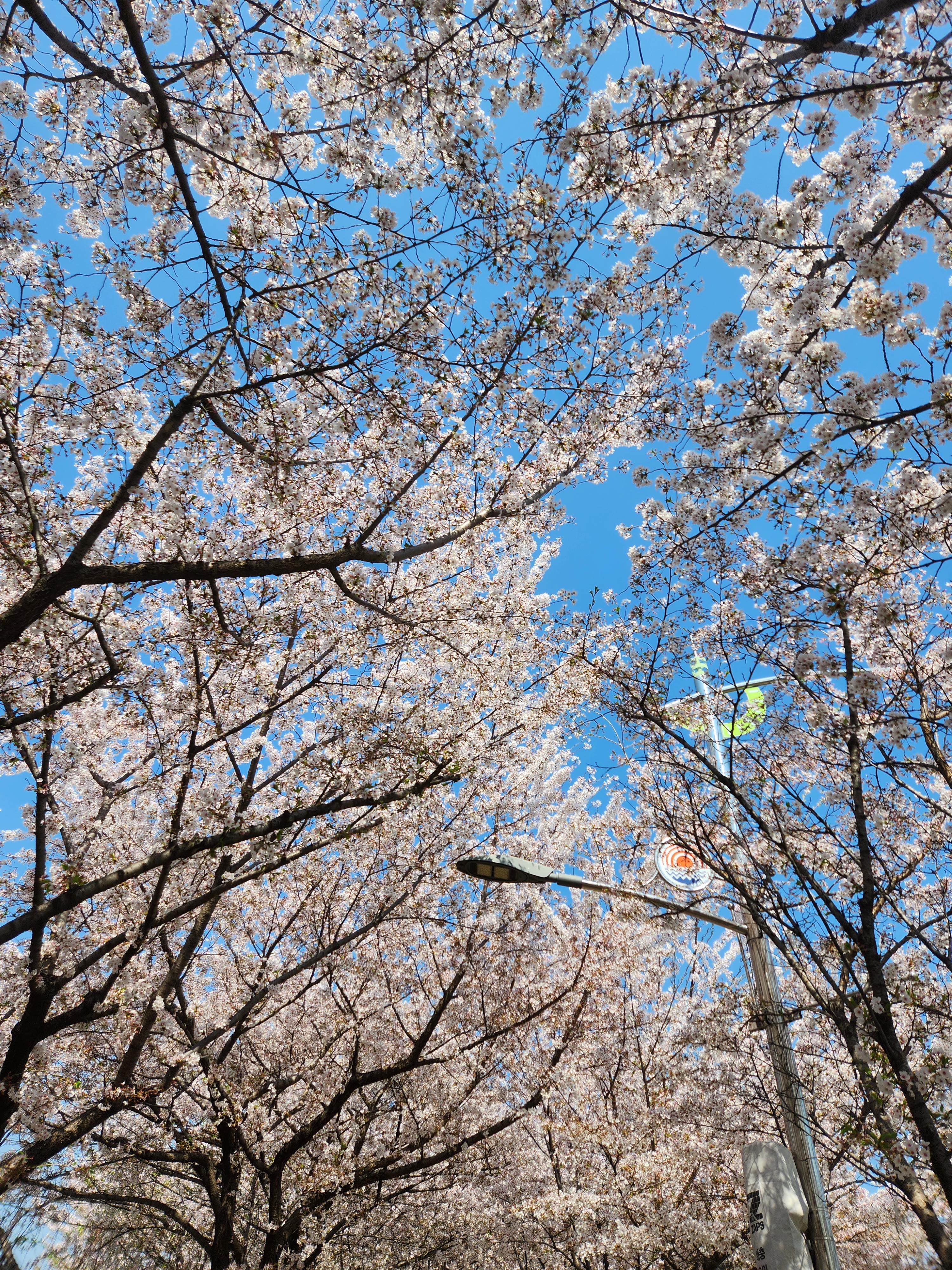  붐놀이 갈 때 이것을 꼭 기억하세요!