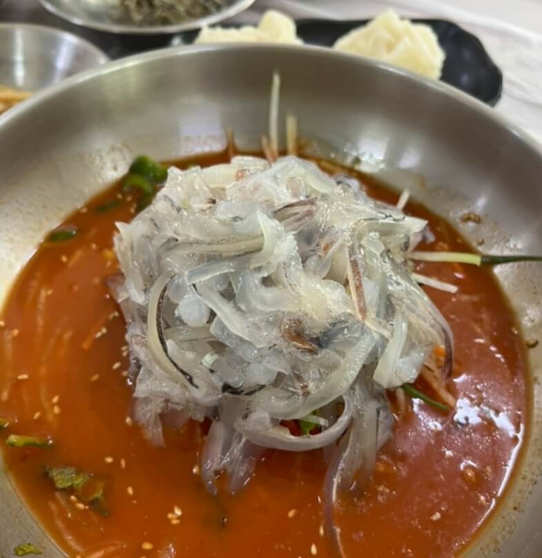속초 현지인 맛집 Best 5 