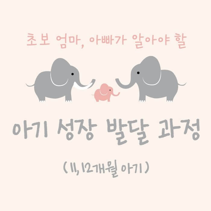  초보 엄마, 아빠가 알아야 할 아기 성장 발달 과정(11~12개월)