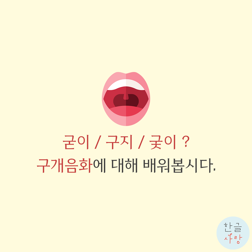  굳이 / 구지 / 궂이, 구개음화에 대해서 알아볼까요?