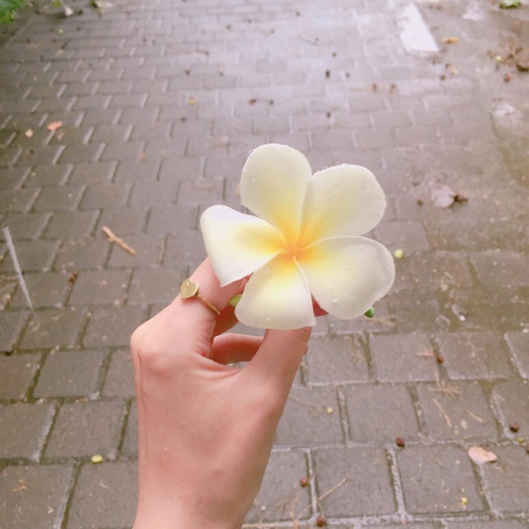  영감을 주는 글귀 -  쉽게 좌절하지 않는 사람의 마인드