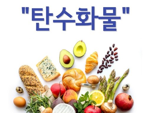 탄수화물 음식, 탄수화물 많이들어있는, 탄수화물이 있는 음식,