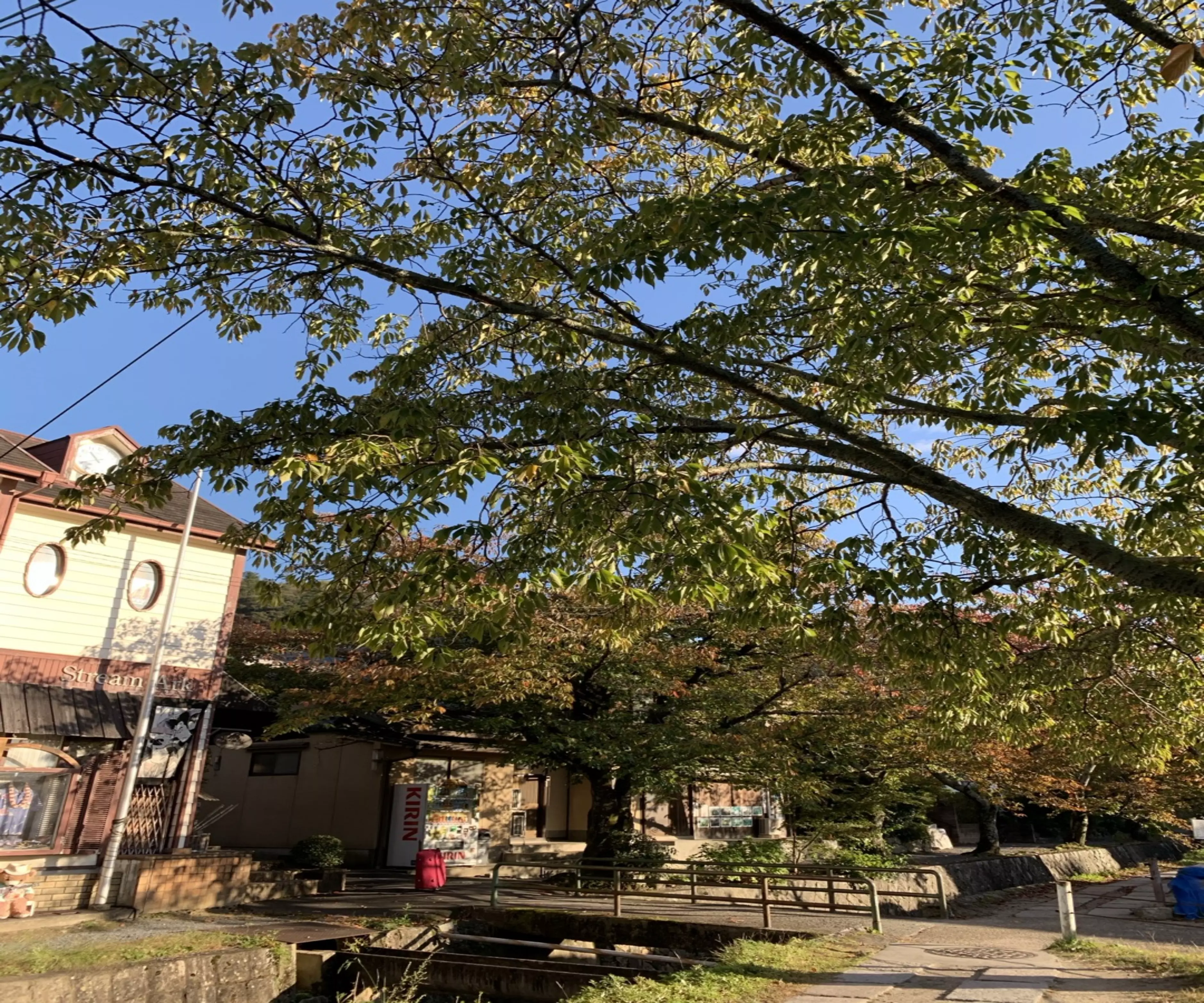 교토-철학의길-전경