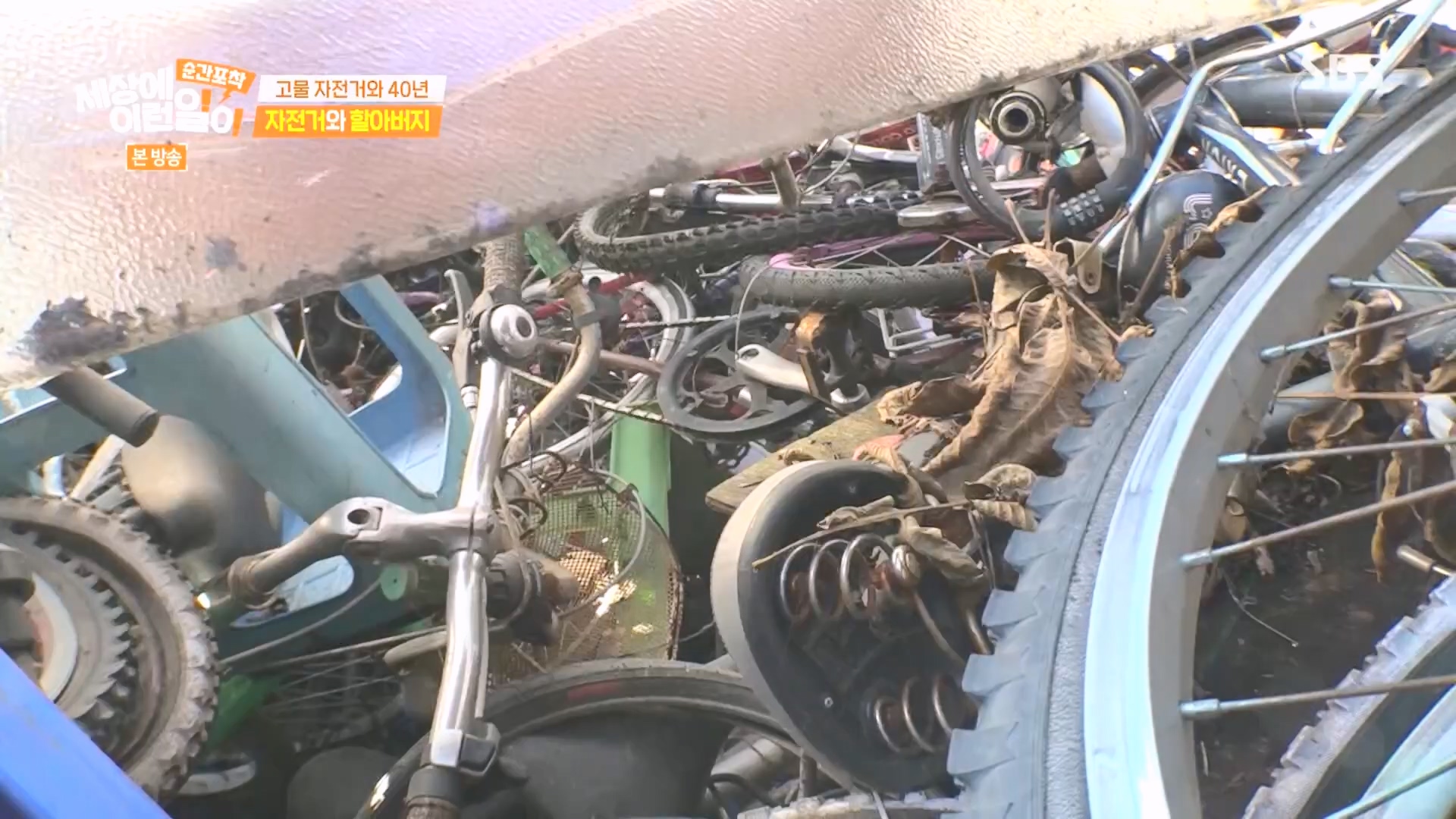 순간포착 세상에 이런일이.E1266.240224p.H264-F1RST.mp4_20240225_162516.526.jpg