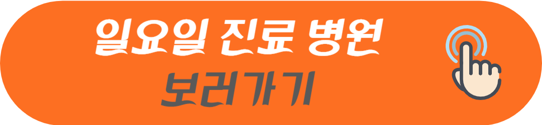 서울시 광진구 오늘 현재 지금 토요일 일요일 공휴일 및 야간에 문여는 병원 및 영업하는 약국