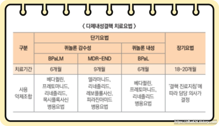 다제내성결핵 치료요법