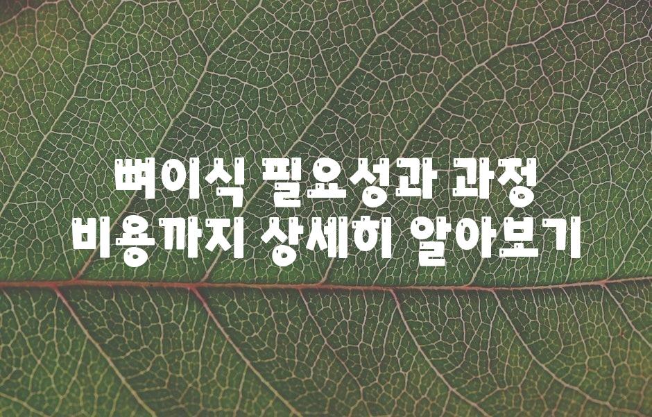 뼈이식 필요성과 과정 비용까지 자세한히 알아보기