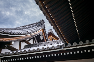 삼재 완벽 정리! 삼재 뜻&amp;#44; 나에게 오는 해&amp;#44; 피하는 방법까지 총정리