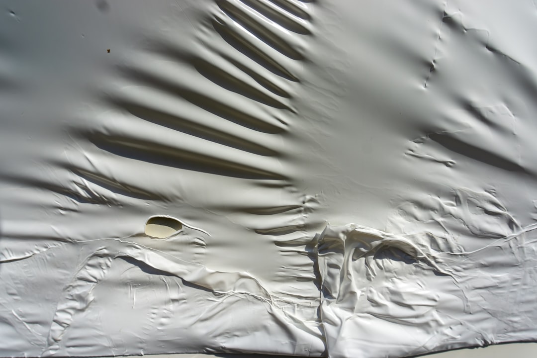 Tarp