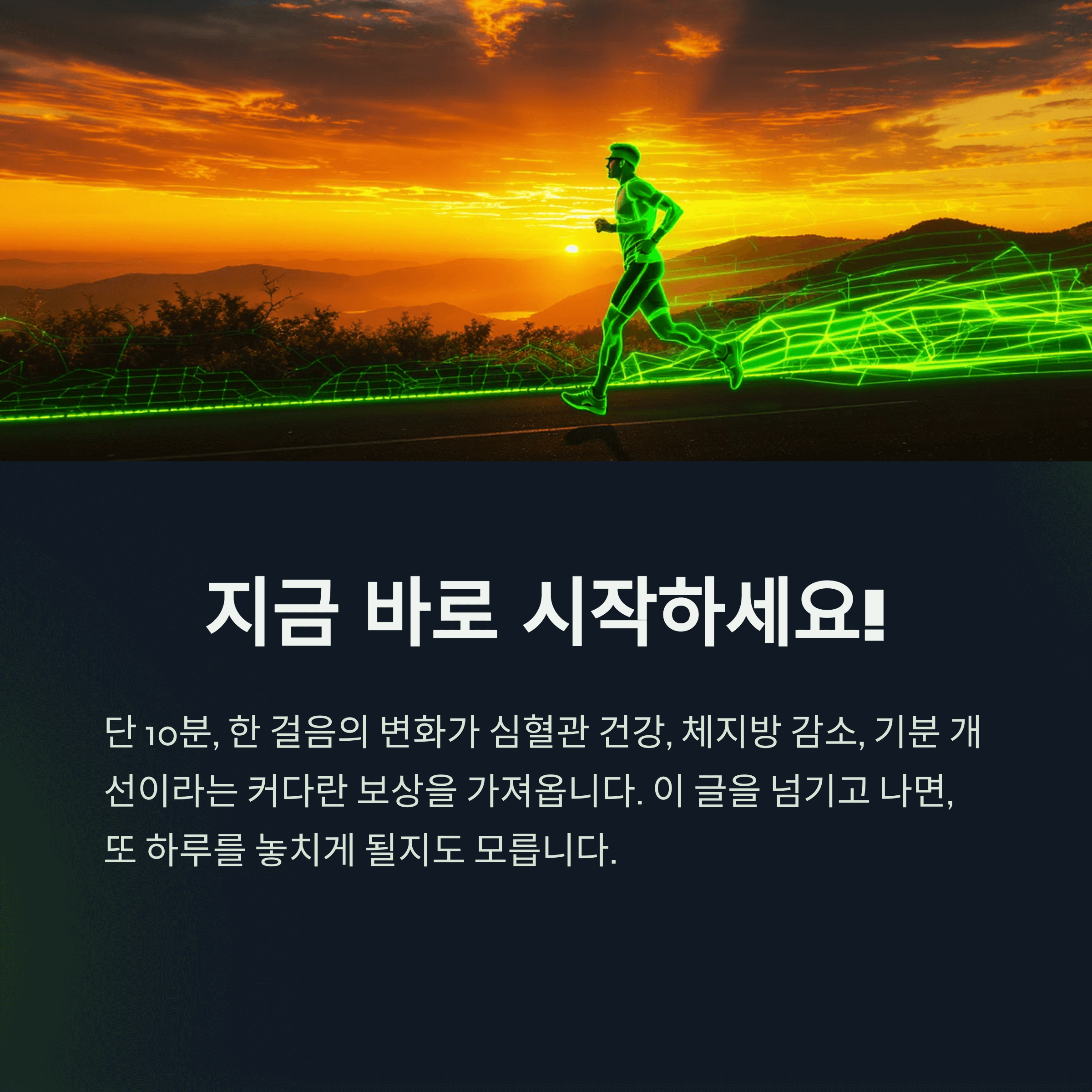 슬로우 조깅 효과 자세 방법 완벽정리