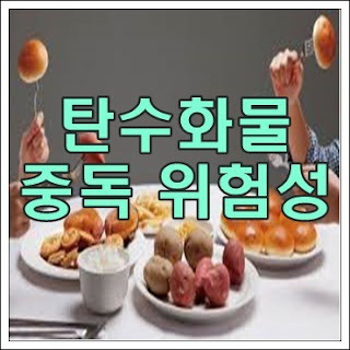  다이어트 - 탄수화물 중독