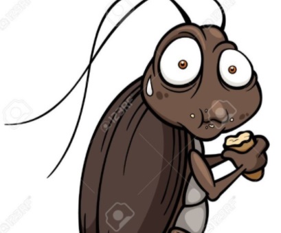  바퀴벌레 나오는 꿈, 벌레 나오는 꿈 상황별 총 정리 입니다.