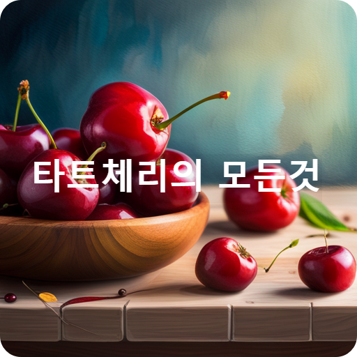 타트체리의 모든것