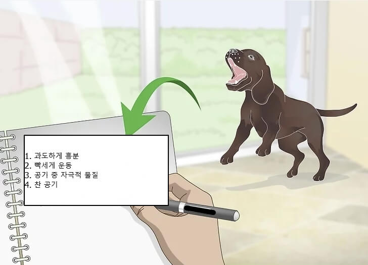 강아지 리버스 스니징 환경 점검