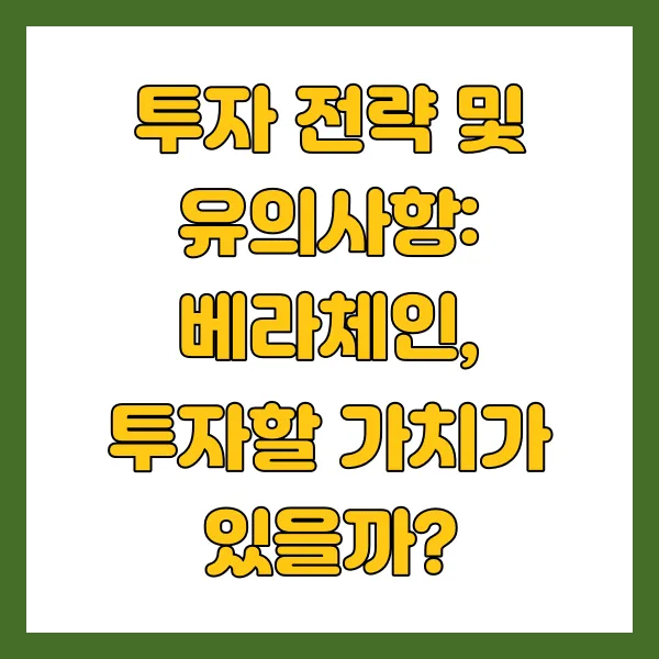 베라체인 투자전략